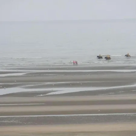 By Belgian Coast Near Dunes & Beach, Cleaning Included Oostduinkerke