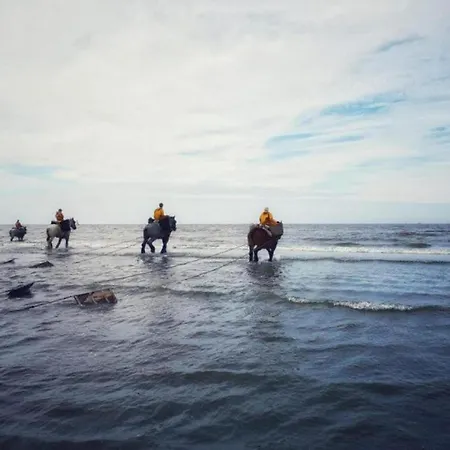 By Belgian Coast Near Dunes & Beach, Cleaning Included * Oostduinkerke