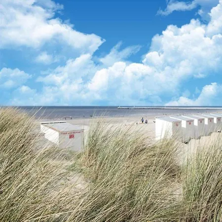 By Belgian Coast Near Dunes & Beach, Cleaning Included