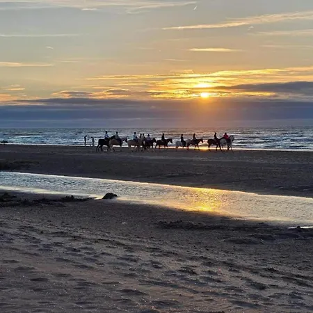 By Belgian Coast Near Dunes & Beach, Cleaning Included
